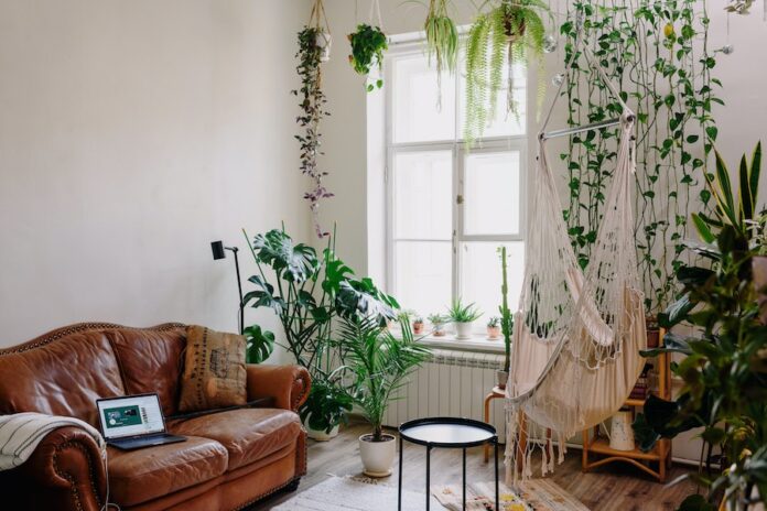 Ideas for Greenery in Living Rooms